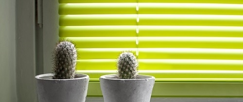 Top Tips for Using Greenery in Your Home Blinds Direct Online