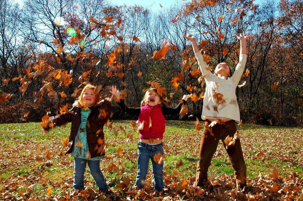 October Half Term Activities For Your Children Blinds Direct Online
