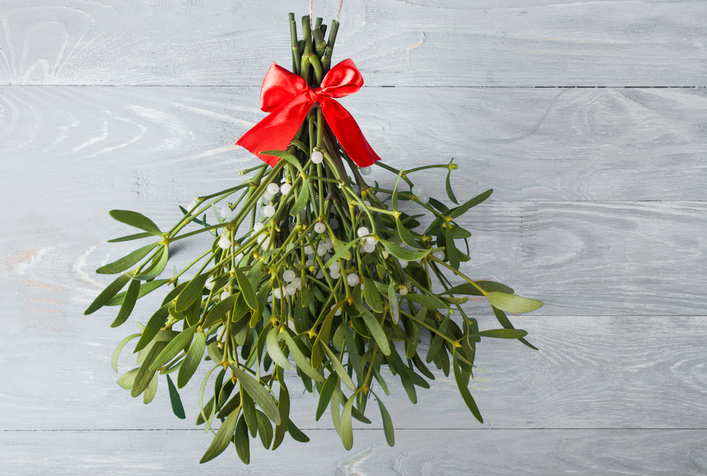 Deck the Halls: Christmas Advice for Your Home Blinds Direct Online