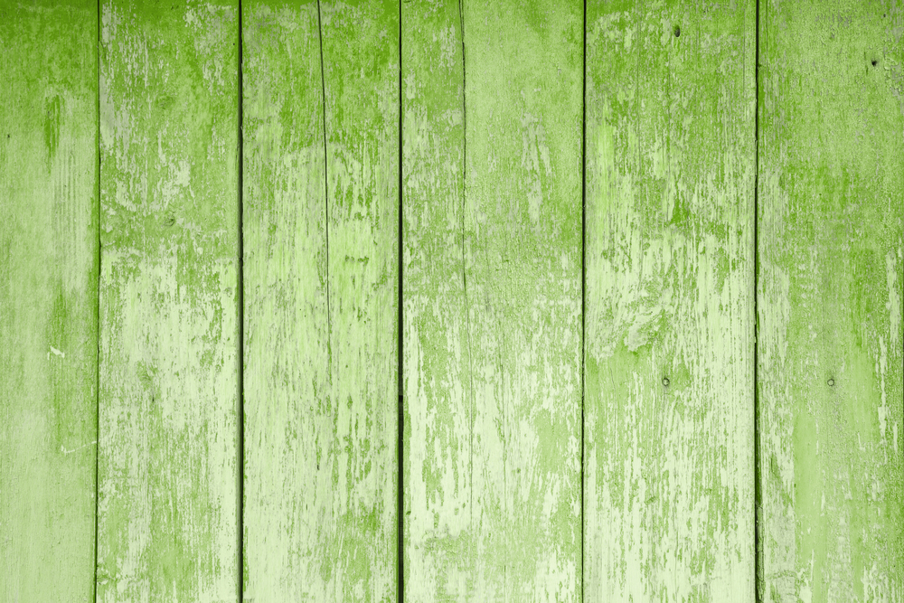 weathered green painted wooden fence
