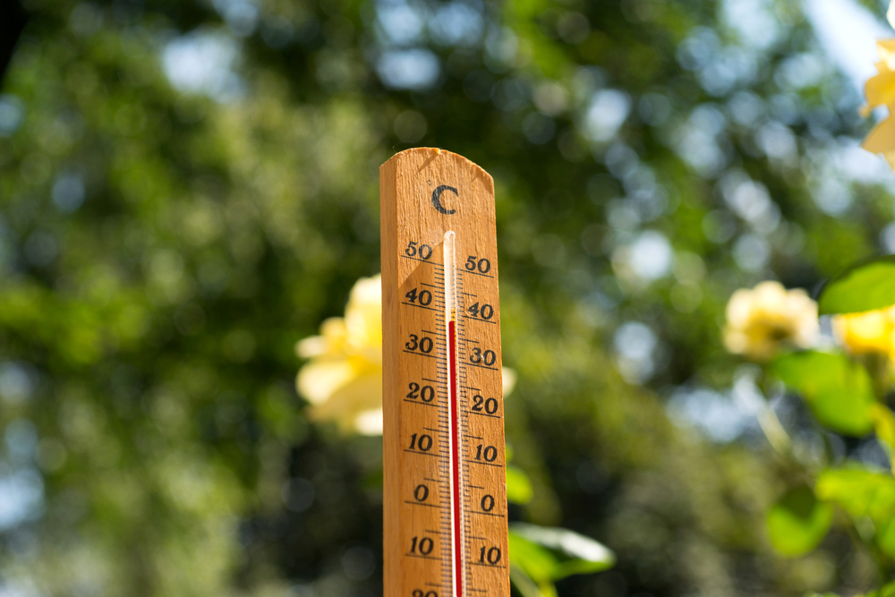 Wooden thermostat