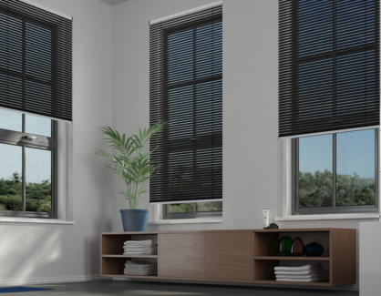 Black Venetian Blind